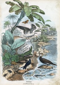ಶೀರ್ಷಿಕೆ ಪುಟ, 1863-79 turk